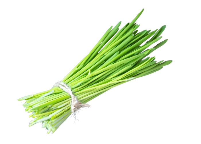 Fresh green chives bundle isolated on black.