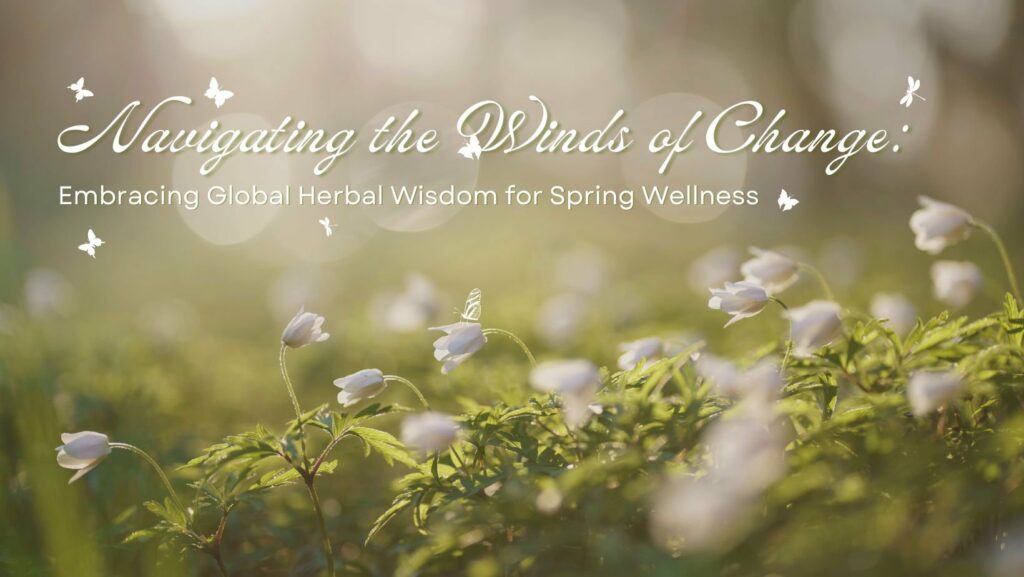 Navigating the Winds of Change: Embracing Global Herbal Wisdom for Spring Wellness cover