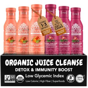 Karviva Organic Immunity Boost Prebiotic Juice, Low-Sugar, Immunity Boost with Vitamin C & D, Inspired by Ancient Eastern Remedies with Ashitaba, High Fiber, Electrolytes & Antioxidants, Gluten-Free (6 Bottle, 12 fl.oz. each)